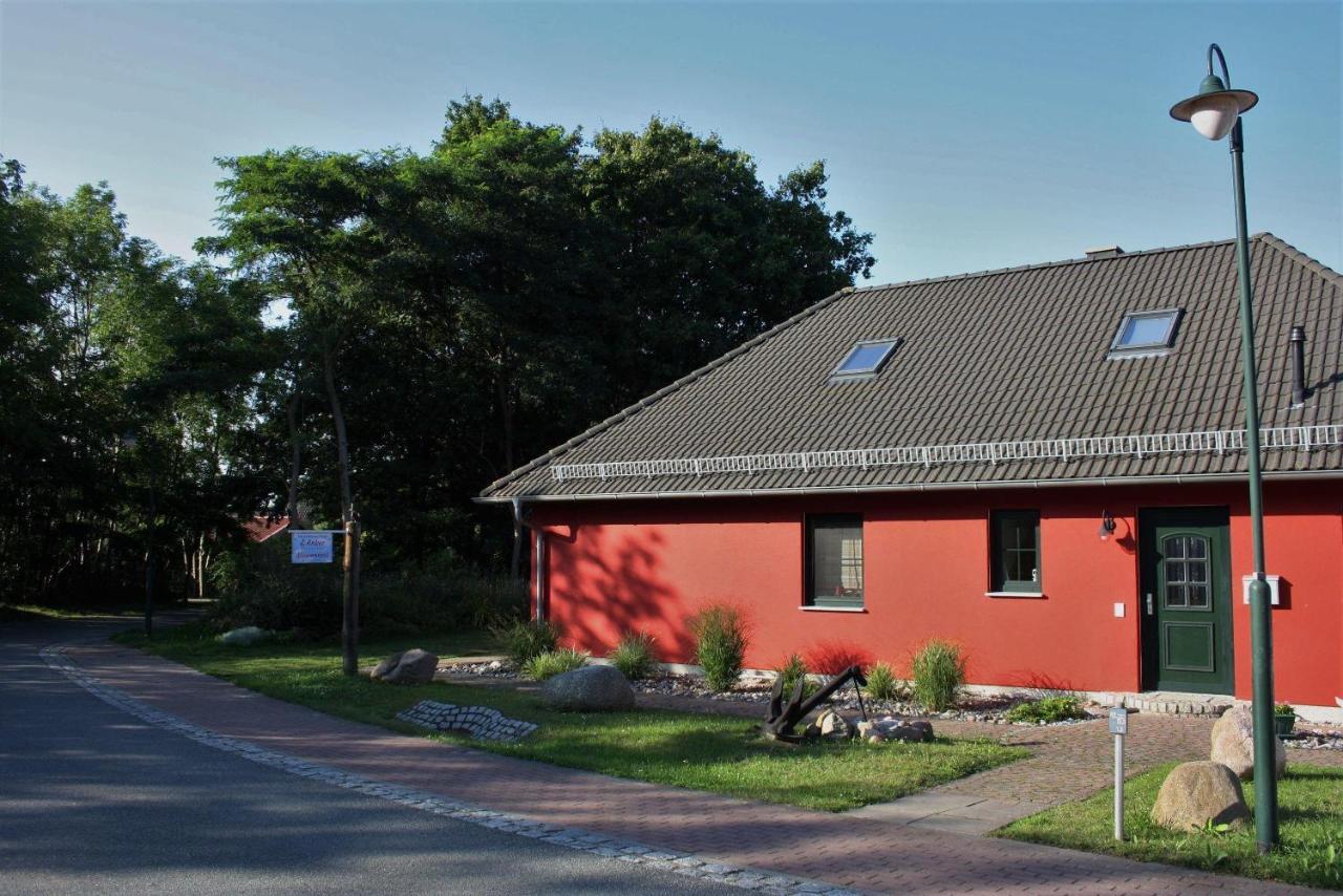 Apartment Möwennest Glowe