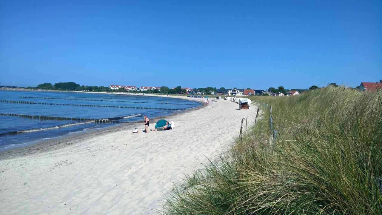 Möwennest * Glowe